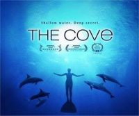 The cove