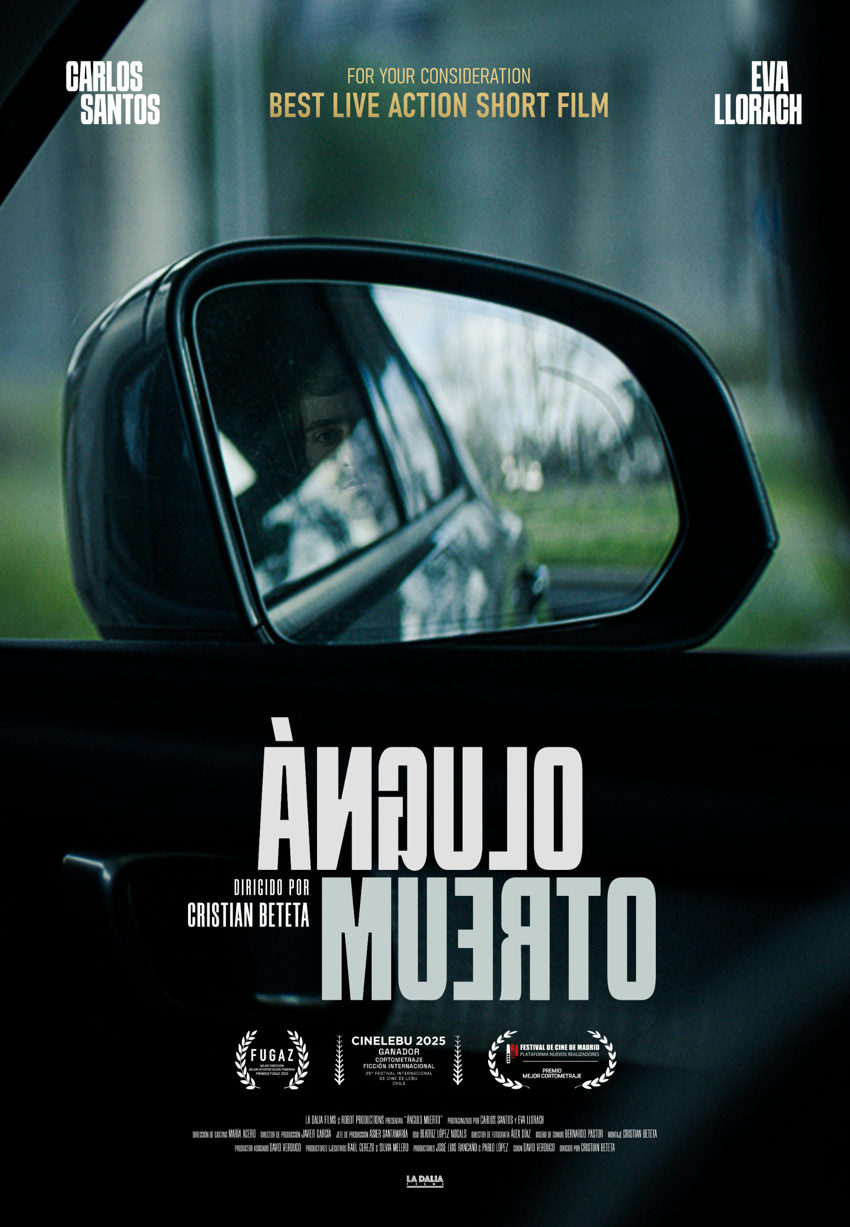 POSTER-OSCARS-Angulo-muerto