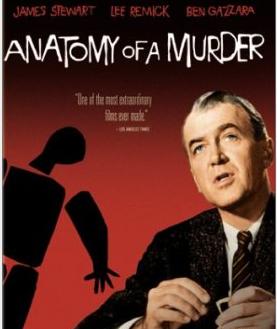 Anatomía de un asesinato