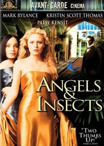 Ángeles e insectos (Angels and insects)