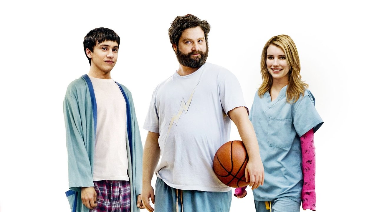 Cartel de la película It's kind of a funny story (it's kind of a funny story) (2011) de Anna Boden
