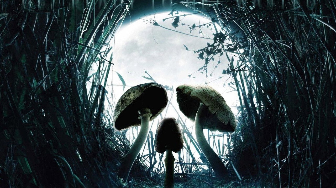 Cartel de la película Cabeza de muerte (2007) de Paddy Breathnach