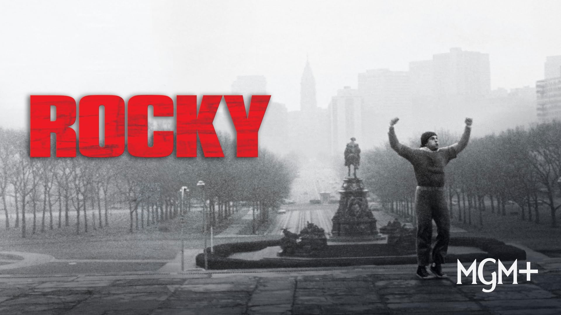 ROCKY.EL NACIMIENTO DE LA LEYYENDA.