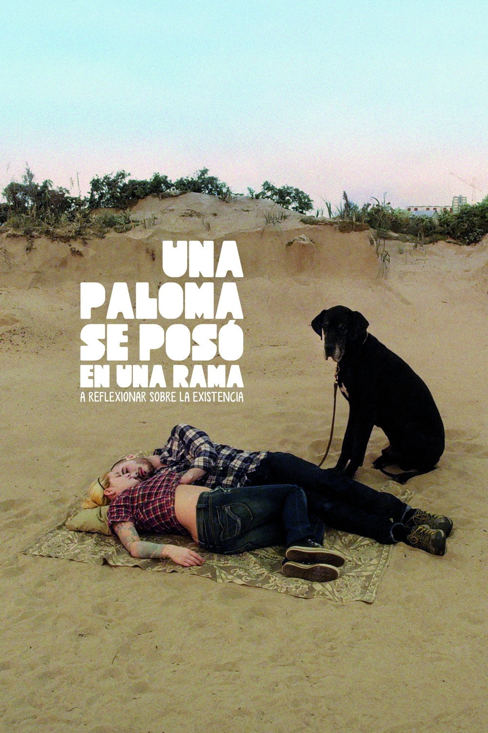 Una paloma se pos&oacute; en una rama a reflexionar sobre la existencia